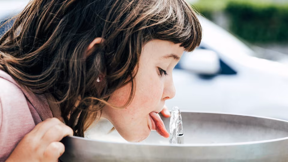 PFAS im Trinkwasser in Deutschland – auch in Sachsen und Thüringen