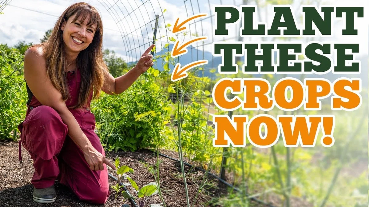 Warum erfahrene Gärtner Essig bis November auf ihre Terrassen sprühen - image 2